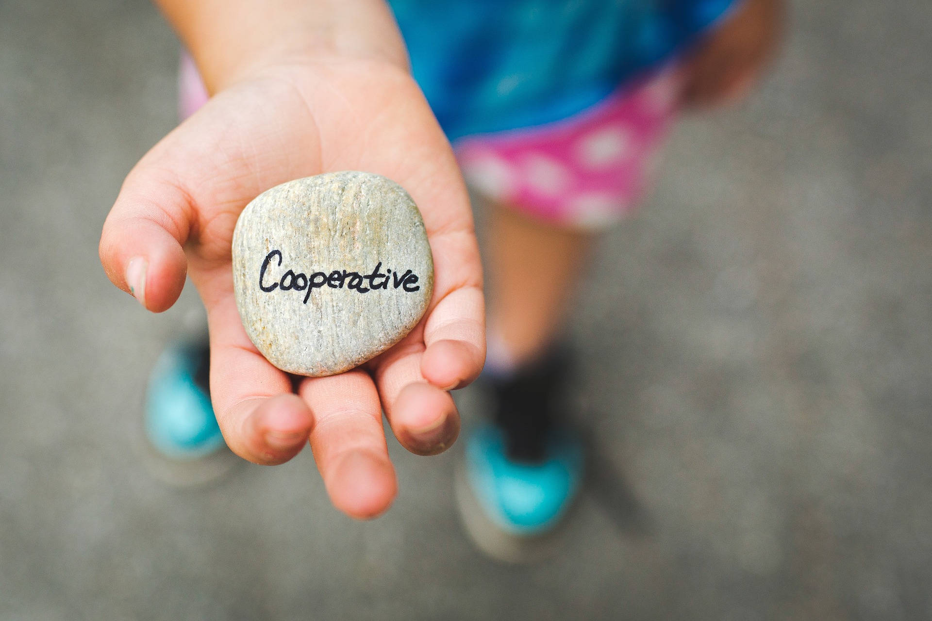 syrme-cooperative-acheteurs